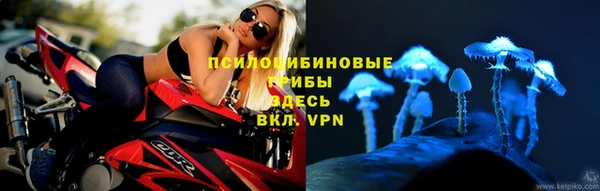 мяу мяу мука Пролетарск