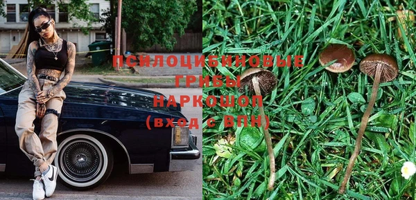 гашик Киреевск