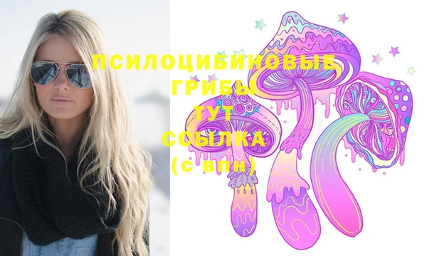 стаф Кинешма