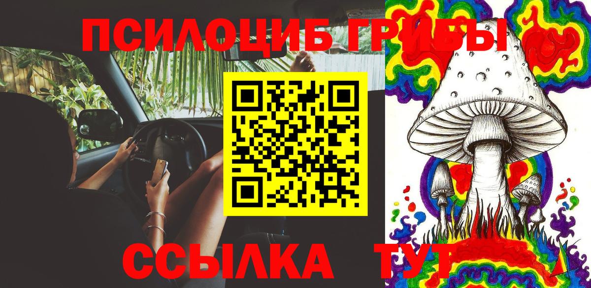 Псилоцибиновые грибы мухоморы  Галлюциногенные грибы Cubensis  Кохма  Вход с VPN 