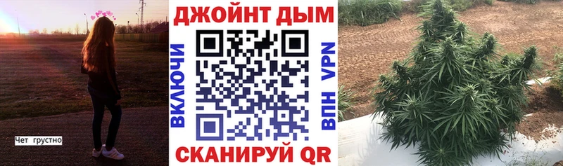 Бошки Шишки OG Kush  Кохма 